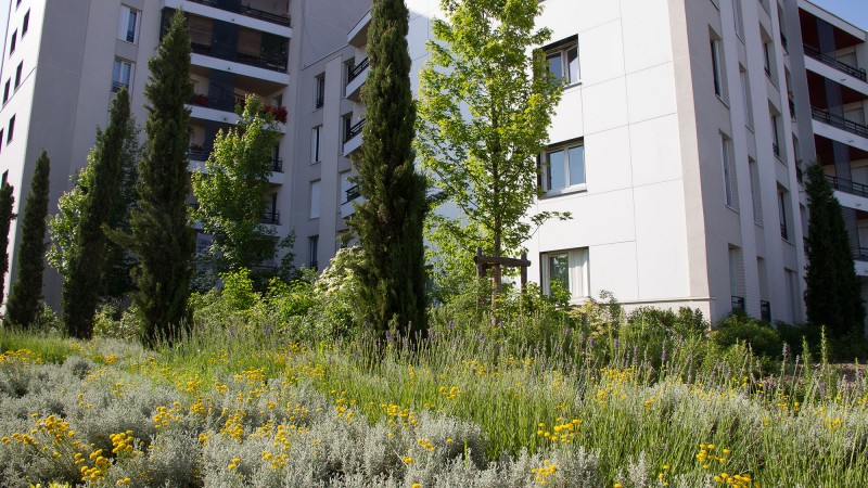 Vue sur les jardins d'accueil de la Cité du Nord