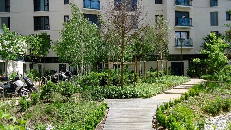 L'allée jardinée transverse et le patio