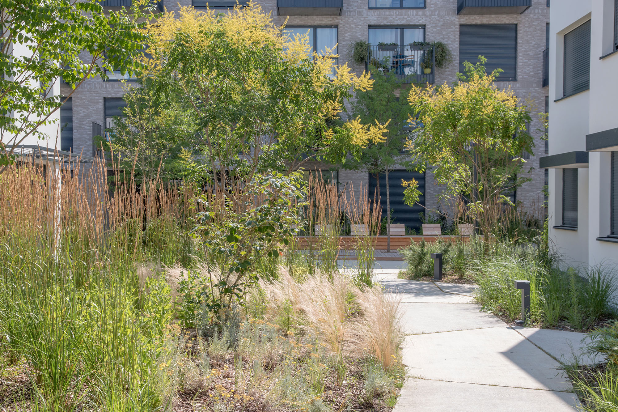 Les jardins chromatiques accompagnent les résidents et les visiteurs - le jardin central - Opération - Pantin Canal - Emerige