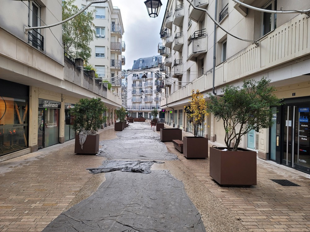 Octobre 2023 - Les bacs de la rue Théophile Gautier viennent de recevoir leur cépées - Quartier Gauthier Ginoux - Montrouge