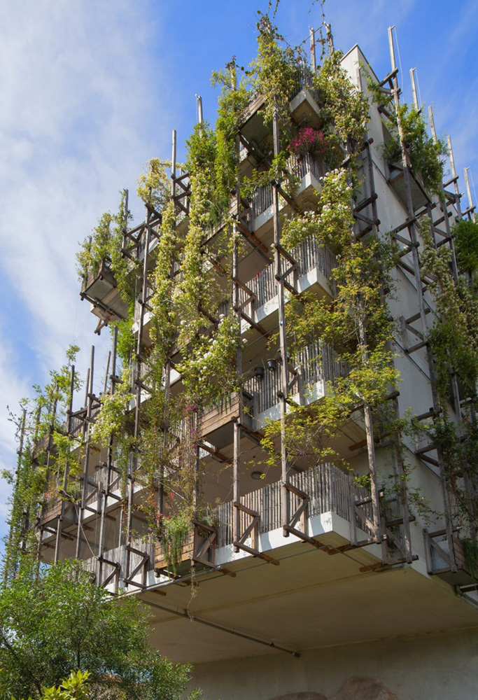 Végétalisation de la façade est - Ray Vinci