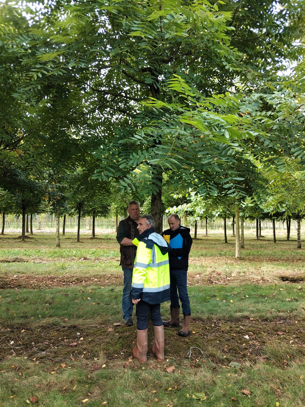 Journée de marquage des arbres pour le jardin magellan