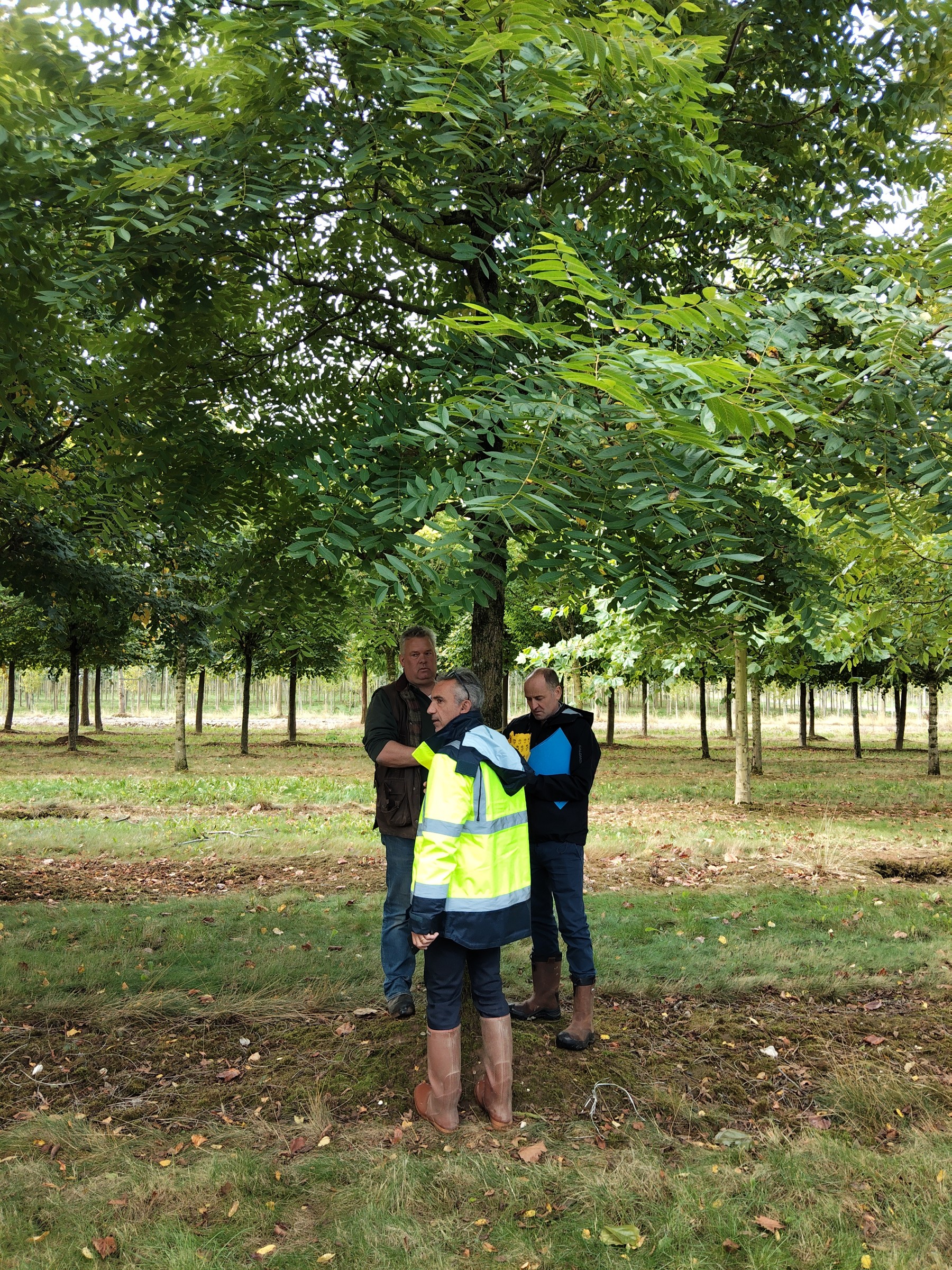 Journée de marquage des arbres pour le jardin magellan