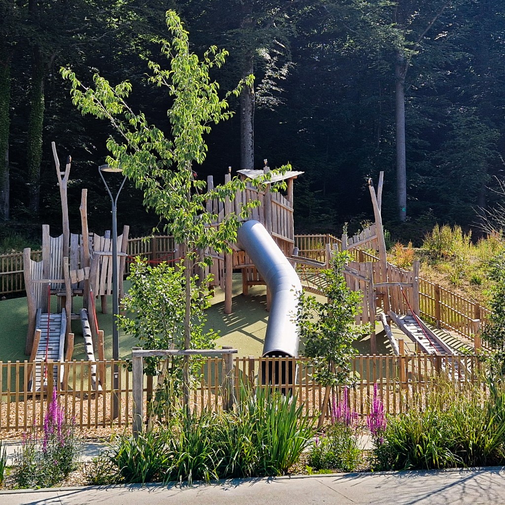 L'aire de jeux intégrée à lisière forestière